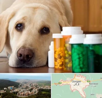 داروخانه دامپزشکی در گرگان