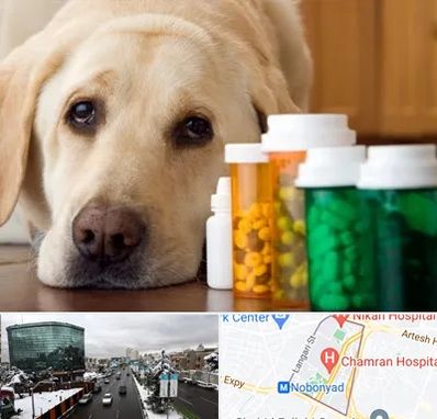 داروخانه دامپزشکی در اقدسیه 