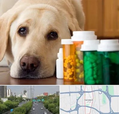 داروخانه دامپزشکی در توانیر