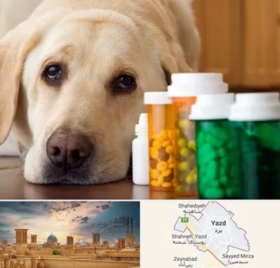 داروخانه دامپزشکی در یزد