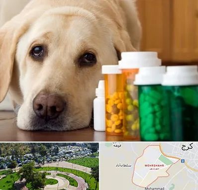 داروخانه دامپزشکی در مهرشهر کرج 