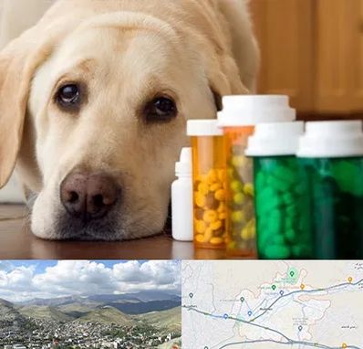 داروخانه دامپزشکی در رودهن