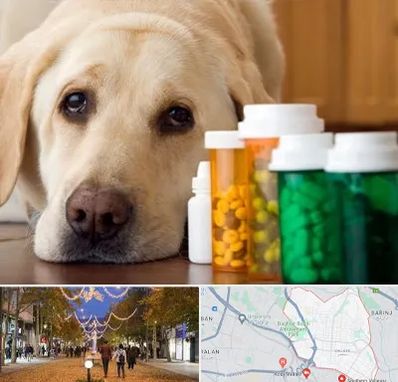 داروخانه دامپزشکی در ولیعصر ارومیه