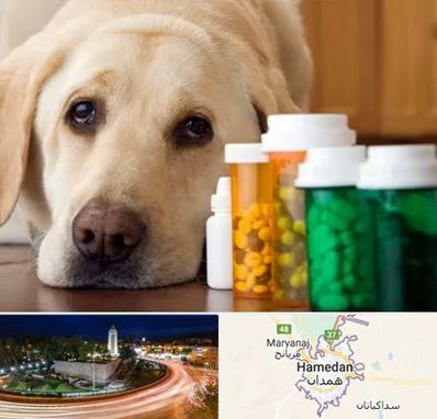 داروخانه دامپزشکی در همدان