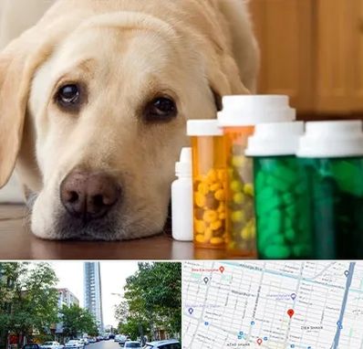 داروخانه دامپزشکی در امامت مشهد