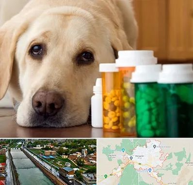 داروخانه دامپزشکی در مراغه