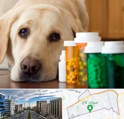 داروخانه دامپزشکی در سعادت آباد 