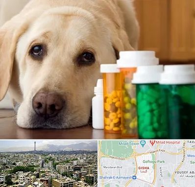 داروخانه دامپزشکی در گیشا