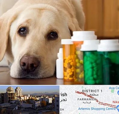 داروخانه دامپزشکی در فرمانیه