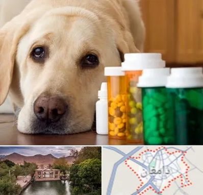 داروخانه دامپزشکی در دامغان