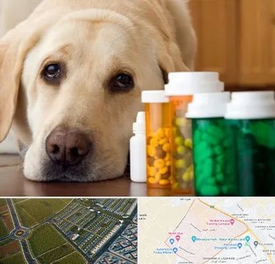 داروخانه دامپزشکی در الهیه مشهد