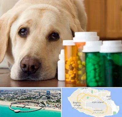 داروخانه دامپزشکی در کیش