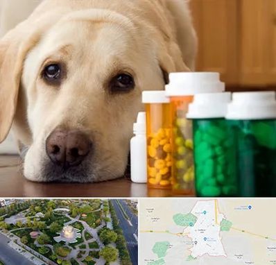 داروخانه دامپزشکی در کاشمر