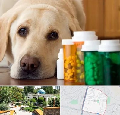 داروخانه دامپزشکی در باغمیشه تبریز