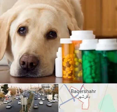 داروخانه دامپزشکی در باقرشهر