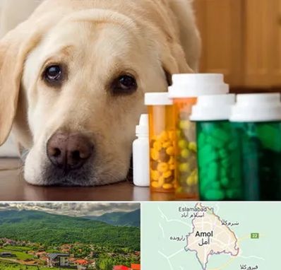 داروخانه دامپزشکی در آمل