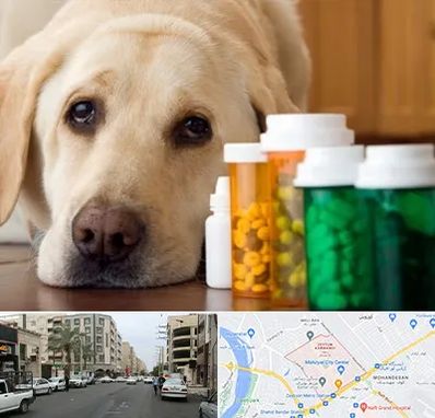 داروخانه دامپزشکی در زیتون کارمندی اهواز