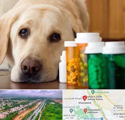 داروخانه دامپزشکی در قصرالدشت شیراز