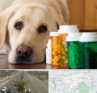 داروخانه دامپزشکی در منطقه 17 تهران