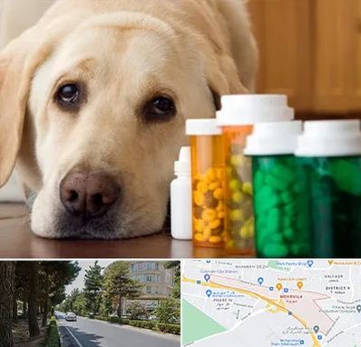 داروخانه دامپزشکی در مهرویلا کرج