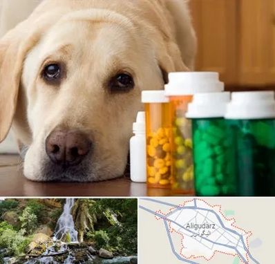 داروخانه دامپزشکی در الیگودرز