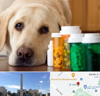 داروخانه دامپزشکی در فلکه گاز شیراز