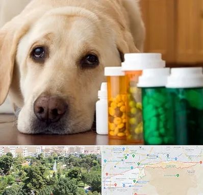 داروخانه دامپزشکی در منطقه 13 تهران