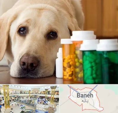 داروخانه دامپزشکی در بانه