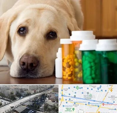 داروخانه دامپزشکی در فرجام