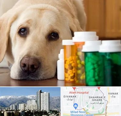 داروخانه دامپزشکی در شهرک غرب 