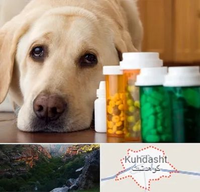 داروخانه دامپزشکی در کوهدشت