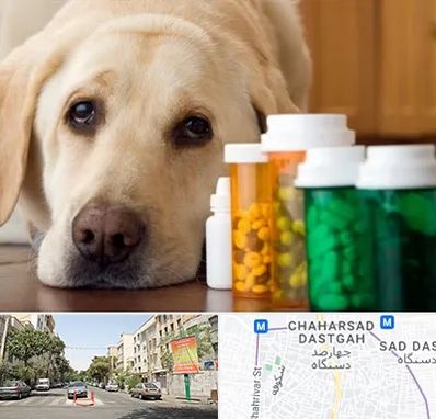 داروخانه دامپزشکی در چهارصد دستگاه