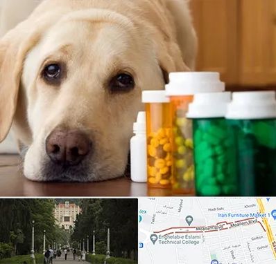 داروخانه دامپزشکی در بلوار معلم رشت