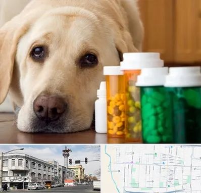 داروخانه دامپزشکی در 17شهریور