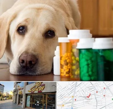 داروخانه دامپزشکی در عطاران قم