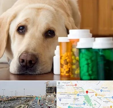 داروخانه دامپزشکی در بلوار توس مشهد