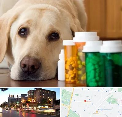 داروخانه دامپزشکی در بلوار سجاد مشهد