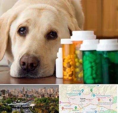 داروخانه دامپزشکی در منطقه 1 تهران