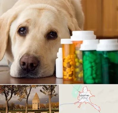 داروخانه دامپزشکی در تویسرکان