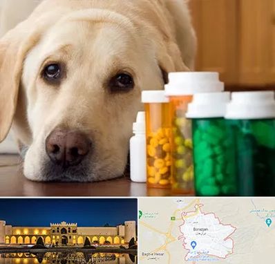 داروخانه دامپزشکی در برازجان