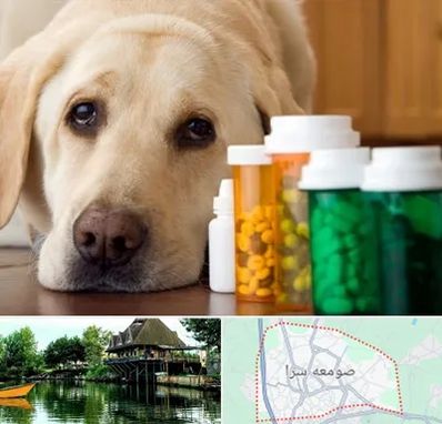 داروخانه دامپزشکی در صومعه سرا