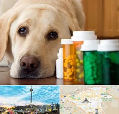 داروخانه دامپزشکی در تهران