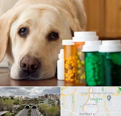 داروخانه دامپزشکی در یوسف آباد 