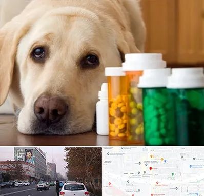 داروخانه دامپزشکی در کارگر شمالی