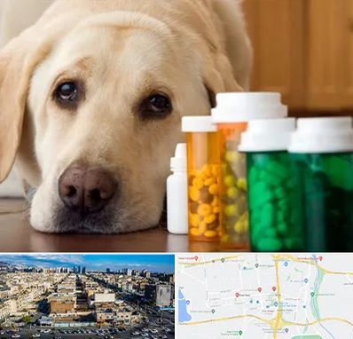 داروخانه دامپزشکی در شهرک راه آهن