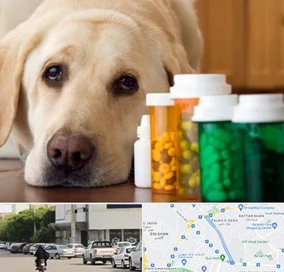 داروخانه دامپزشکی در قدوسی شرقی شیراز