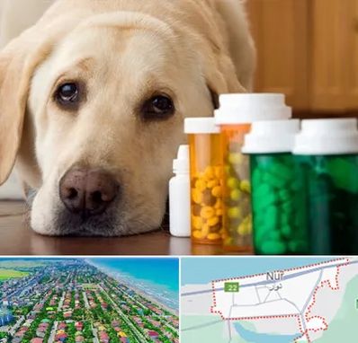 داروخانه دامپزشکی در نور