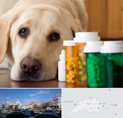 داروخانه دامپزشکی در ماهدشت کرج