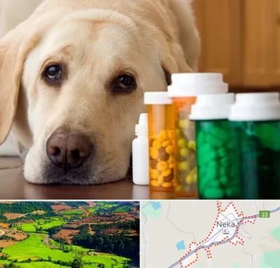 داروخانه دامپزشکی در نکا