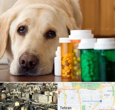داروخانه دامپزشکی در مرزداران 